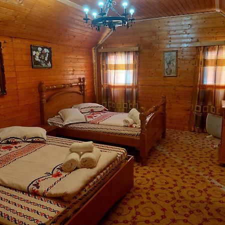 Complex Turcana Transalpina Şugag Zewnętrze zdjęcie